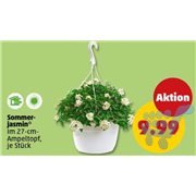 image de produit