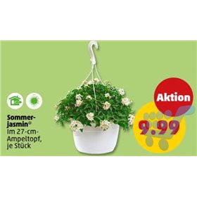 Bild der Aktion
