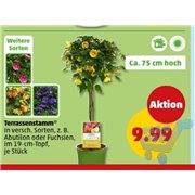 image de produit