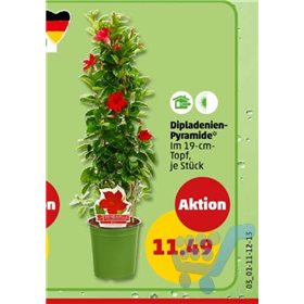 Bild der Aktion