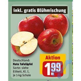 Bild der Aktion