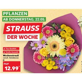 Bild der Aktion
