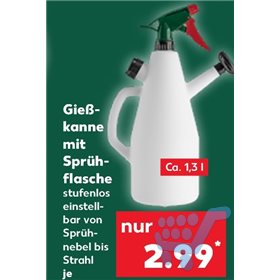 Bild der Aktion