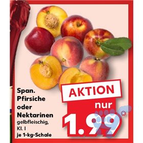 Bild der Aktion