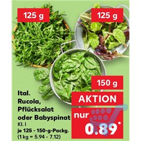 Bild der Aktion