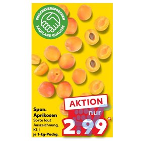 Bild der Aktion