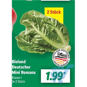 Bild der Aktion