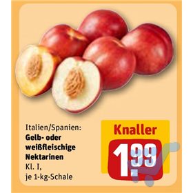 Bild der Aktion