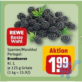 Bild der Aktion