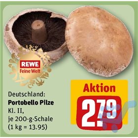 Bild der Aktion