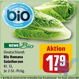 Bild der Aktion