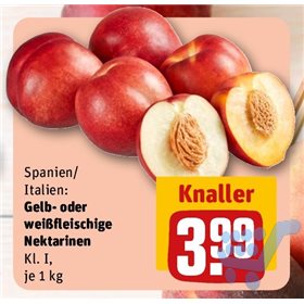 Bild der Aktion