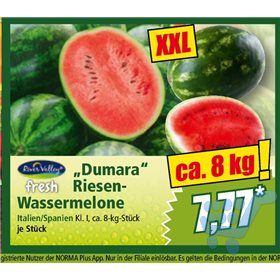 Bild der Aktion