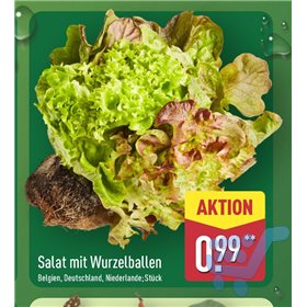 Bild der Aktion