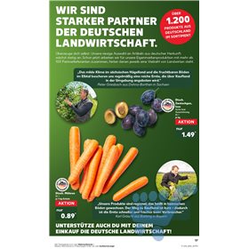 Bild der Aktion