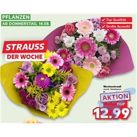 Bild der Aktion