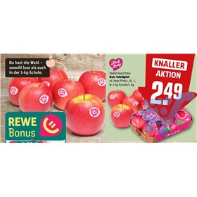 Bild der Aktion