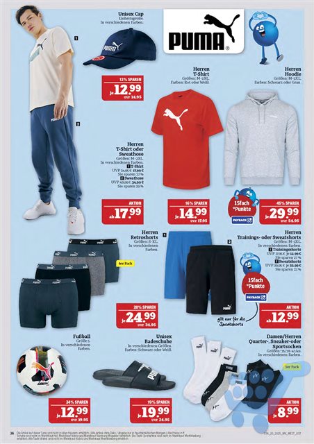 Lade Seite 36...