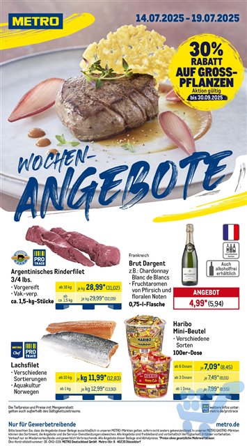 Lade Seite 1...