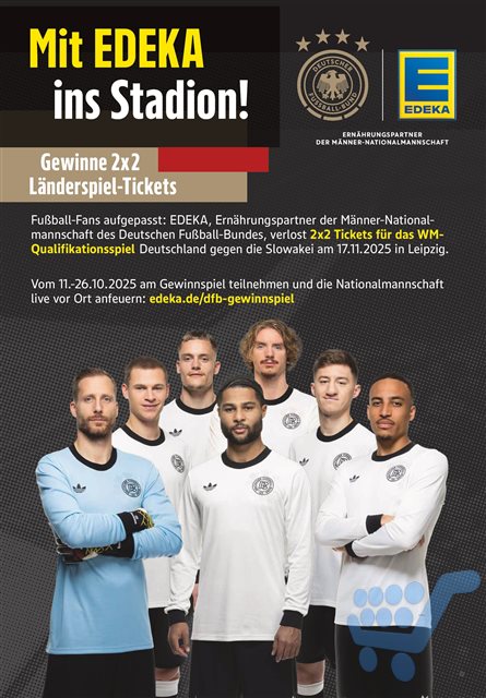 Lade Seite 11...
