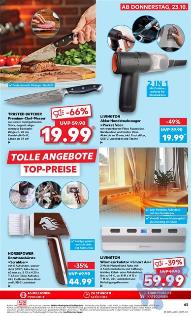 Lade Seite 43...